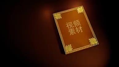 黄色复古书籍展示logo模板视频的预览图